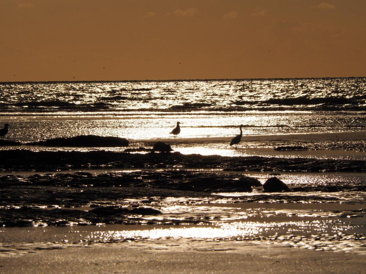 Hotel Les Nord'Mandines Trouville-sur-Mer Esterno foto